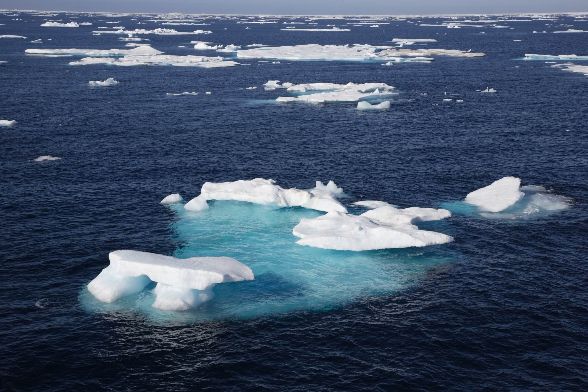 Северный ледовитый крупные острова. Море Лаптевых. Море Лаптевых Полярная Чайка. Северно Ледовитый океан море Лаптевых. Биоресурсы моря Лаптевых.